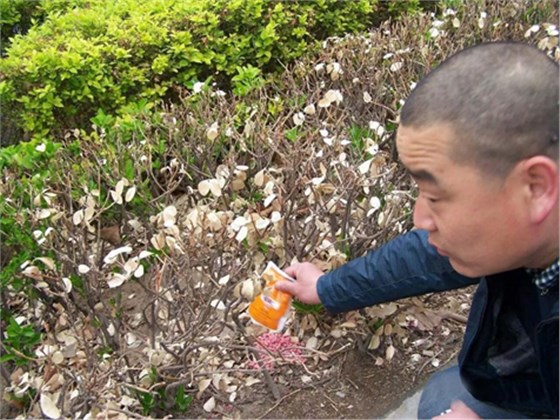  請愛護地球，保護家園