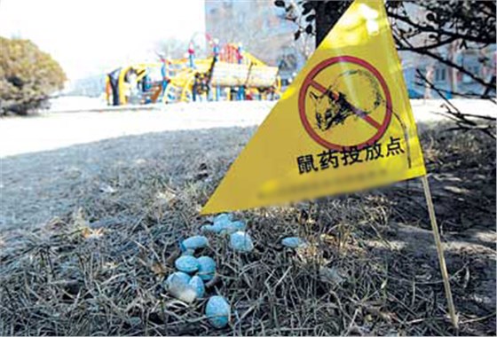 捕鼠盒廠家分享不同場所的鼠藥投放要求