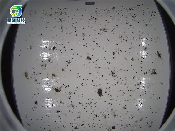 智能滅蠅燈能夠?yàn)槭称窂S蟲控帶來(lái)什么好處