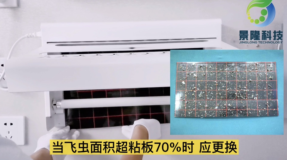 獵蠅者滅蠅燈更換粘蟲板