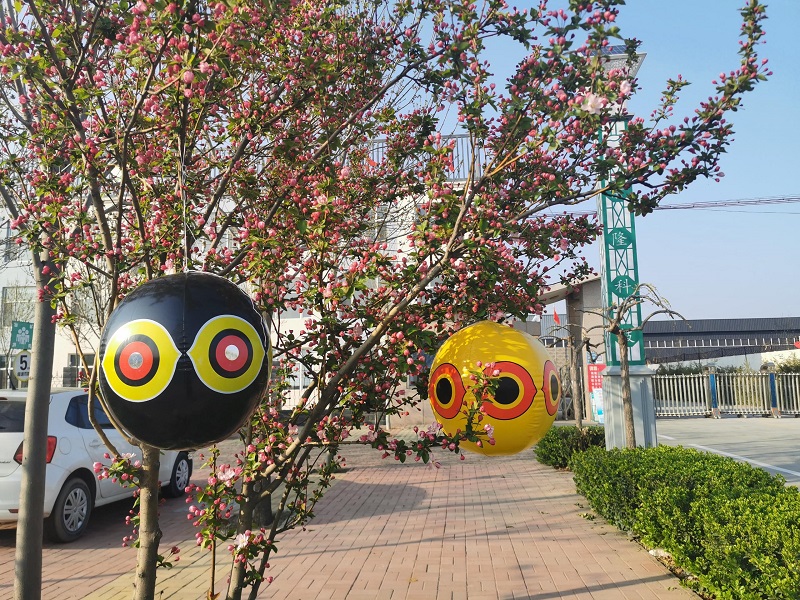 要防鳥(niǎo)，不如試試驅(qū)鳥(niǎo)氣球